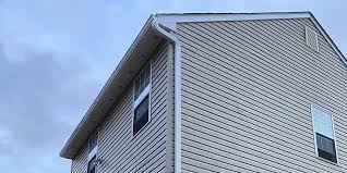 Best Historical Building Siding Restoration  in Lakeview, MI